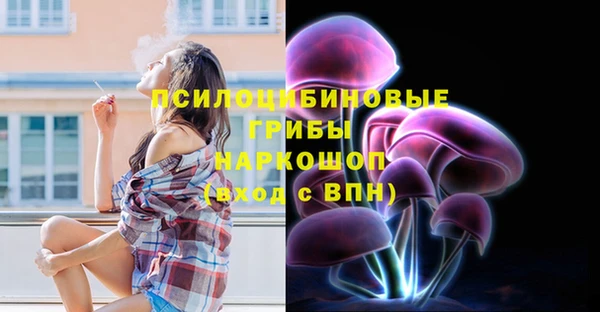 прущая мука Богородицк