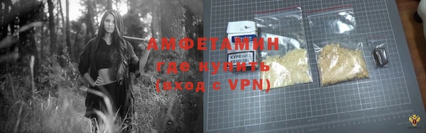 ПСИЛОЦИБИНОВЫЕ ГРИБЫ Богданович