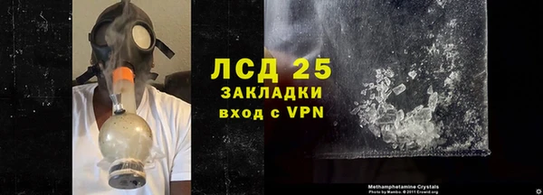 ПСИЛОЦИБИНОВЫЕ ГРИБЫ Богданович