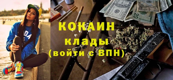 бошки Бронницы