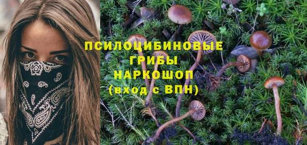 марихуана Богородск