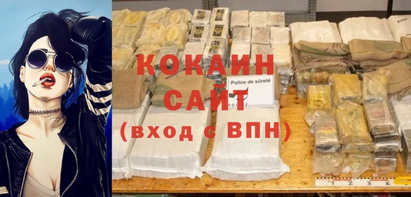 трава Сясьстрой