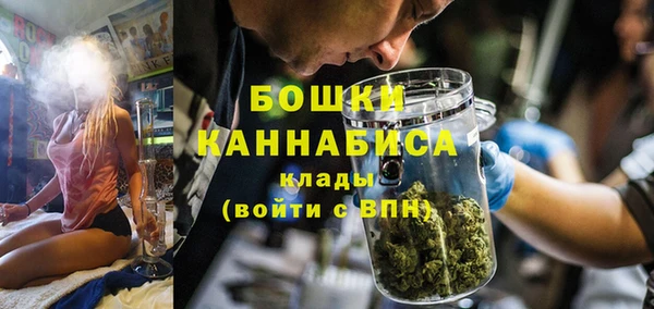 ПСИЛОЦИБИНОВЫЕ ГРИБЫ Богданович